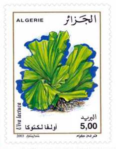 Algues marines (Timbre poste Algérie)