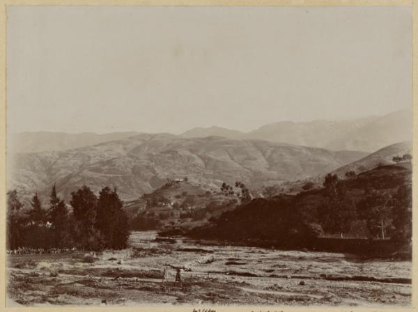 Les Monts des Beni-Salah (1894) : Mimich, les 2 Cèdres, Oued-el-Kébir (Image de propagande coloniale)