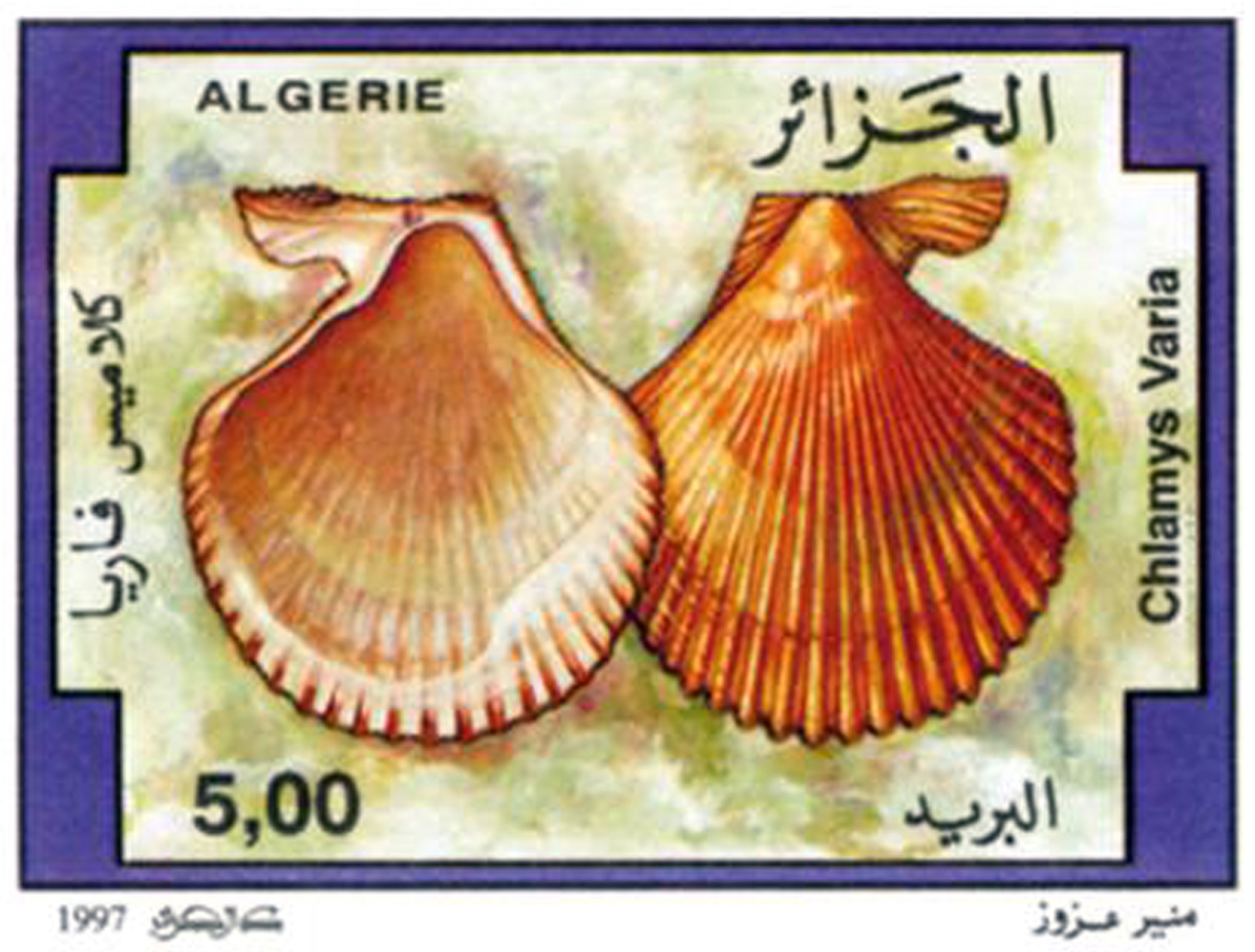 Coquillages (Timbre poste Algérie)