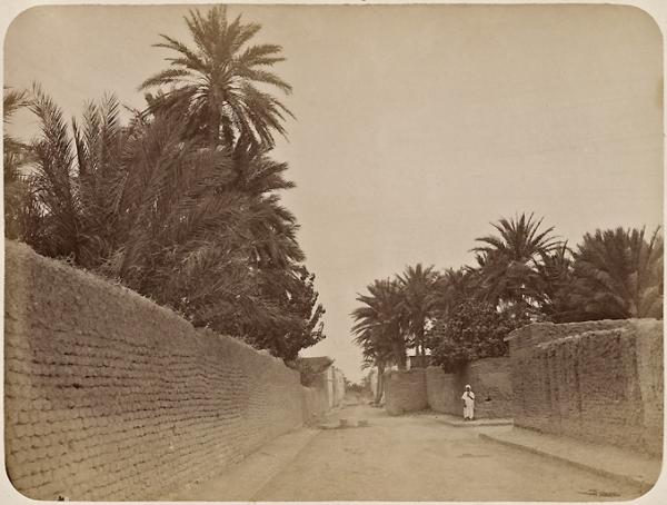 Biskra. Une rue (Image de propagande coloniale)