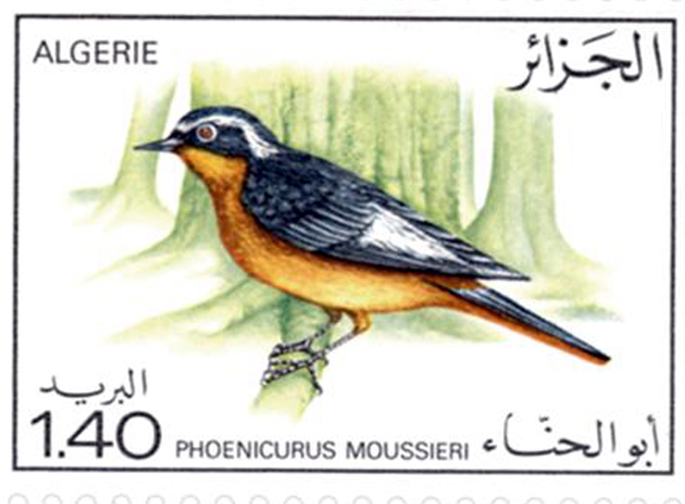 طيور طابع بريدي الجزائر