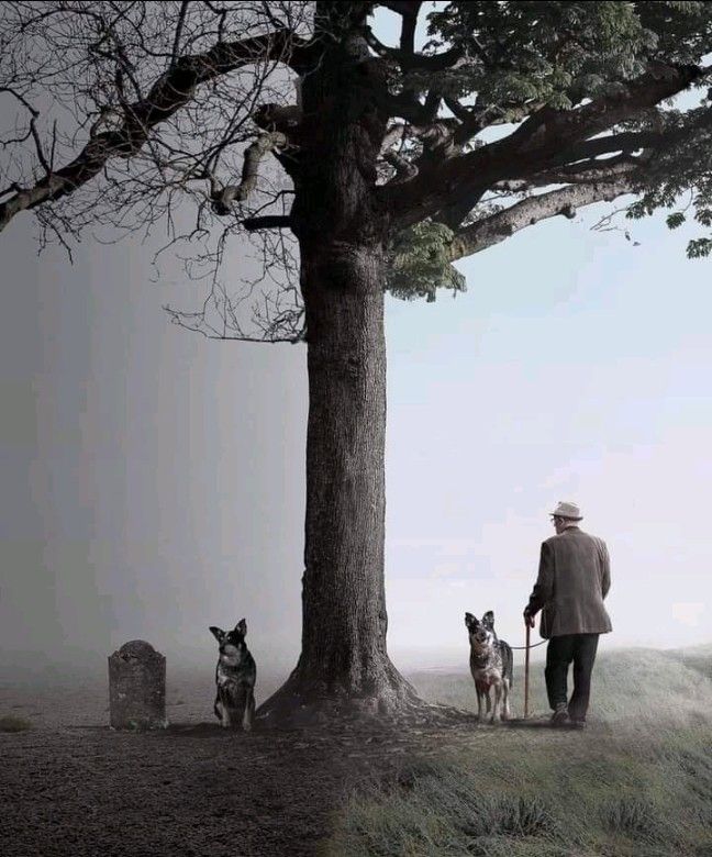 LA FIDELITE ET LES SOUVENIRS