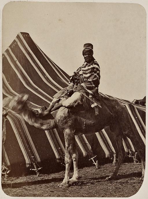 Touareg et tente arabe (Image de propagande coloniale)