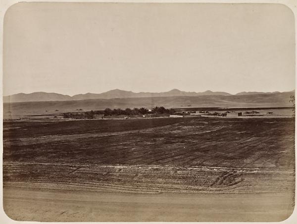 Biskra vue du Sud (Image de propagande coloniale)