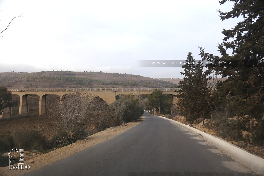Pont supportant la ligne ferroviaire allant de Ghazaouet vers le Maroc