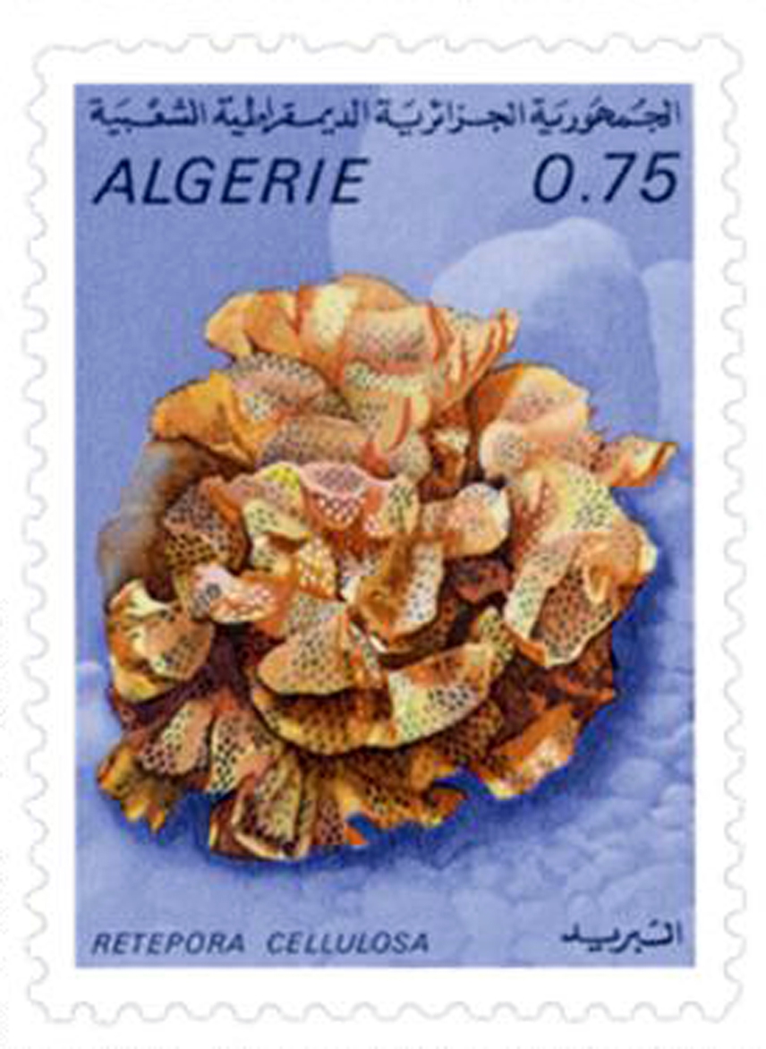 Animaux marins (Timbre poste Algérie)
