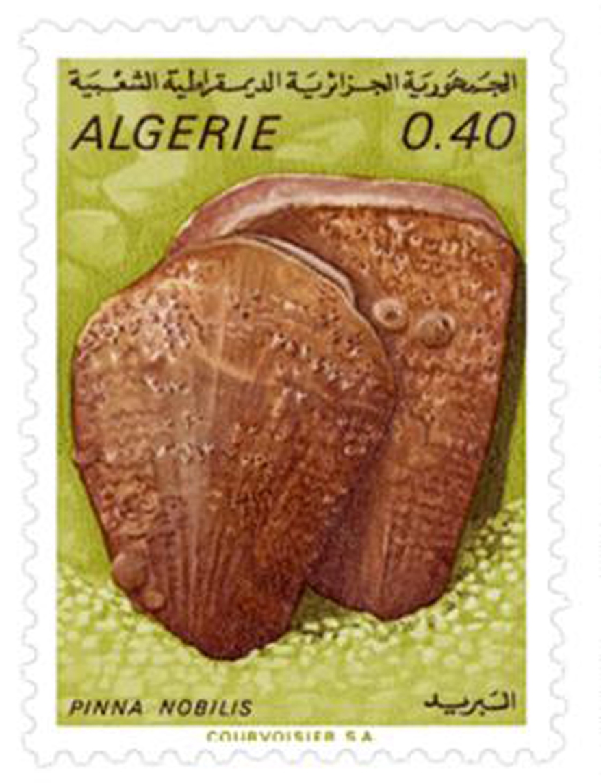 Animaux marins (Timbre poste Algérie)