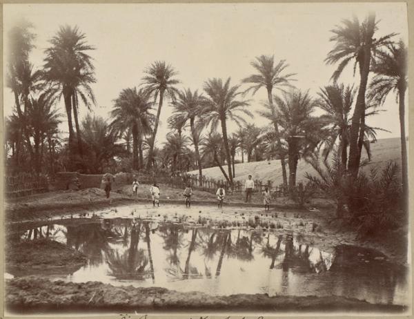 Dans l'oasis d'In Salah (Image de propagande coloniale)