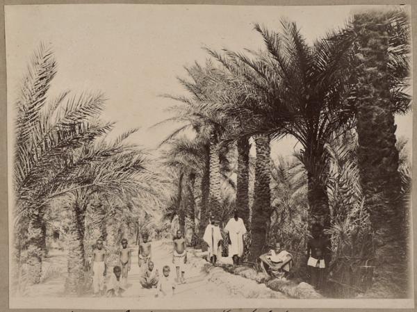 Dans l'oasis d'In Salah (Image de propagande coloniale)