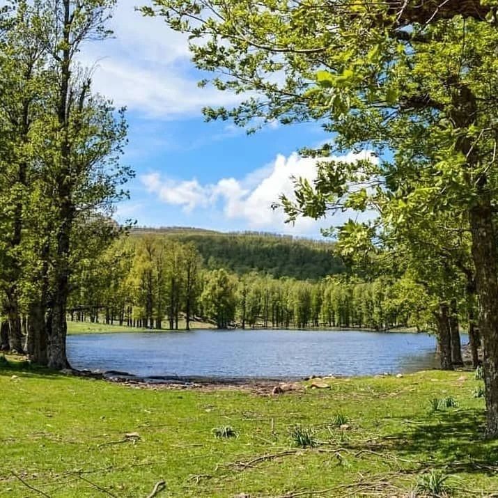 Lac Dhaya, Tamesguida/Médéa… !