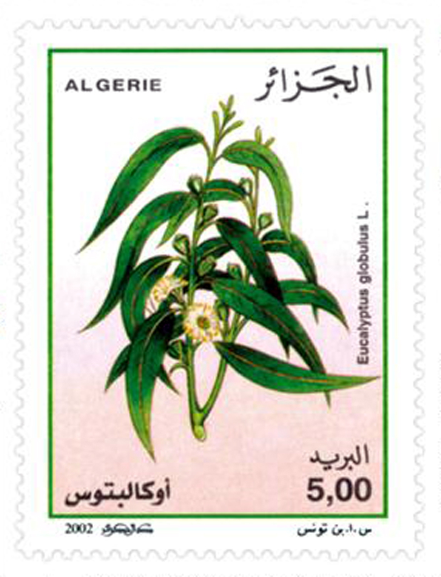 نباتات طبية طابع بريدي الجزائر