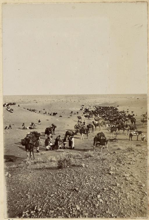 [Colonne du capitaine Pujat chargé de la construction du Fort Lallemand : halte de la colonne entre Hassi-Bou-Larrouah et Hassi-baoud-ech-Cheikh] (Image de propagande coloniale)