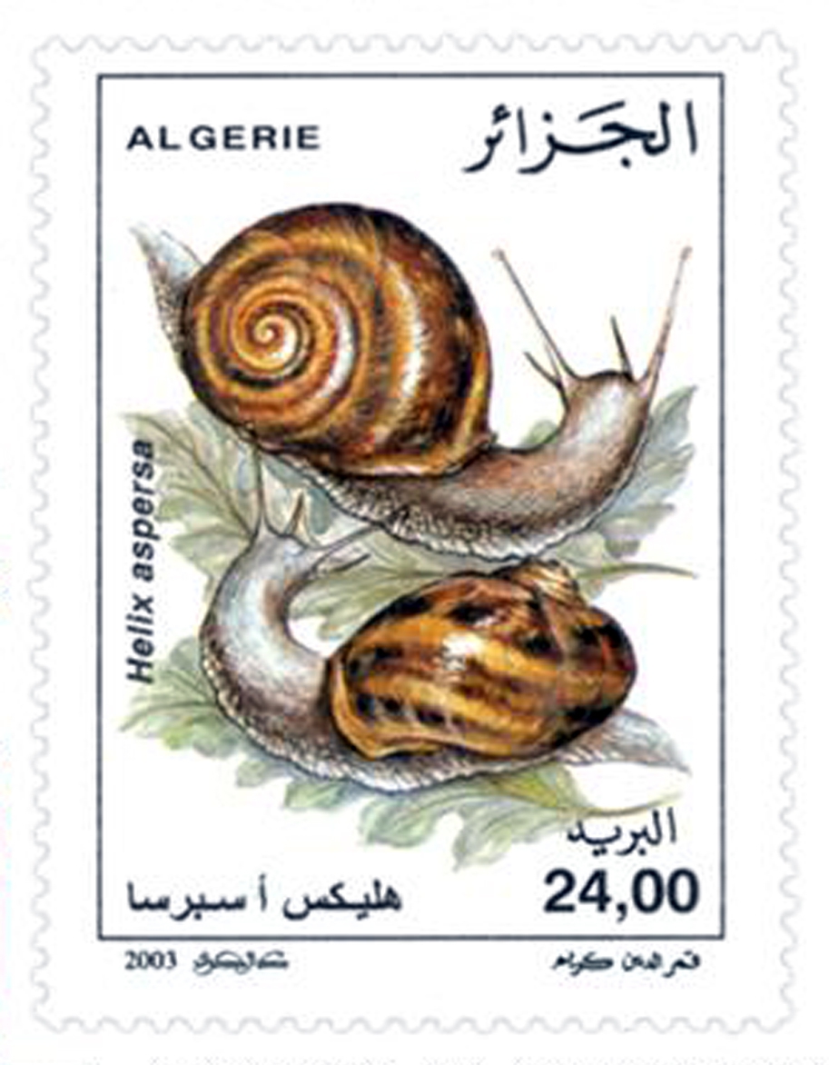 حلزونيات طابع بريدي الجزائر
