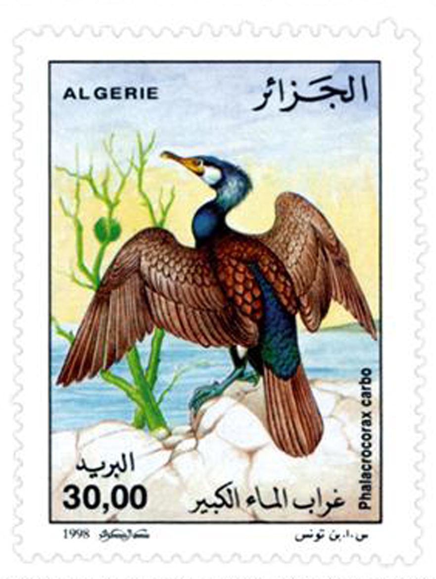 Oiseaux marins (Timbre poste Algérie)