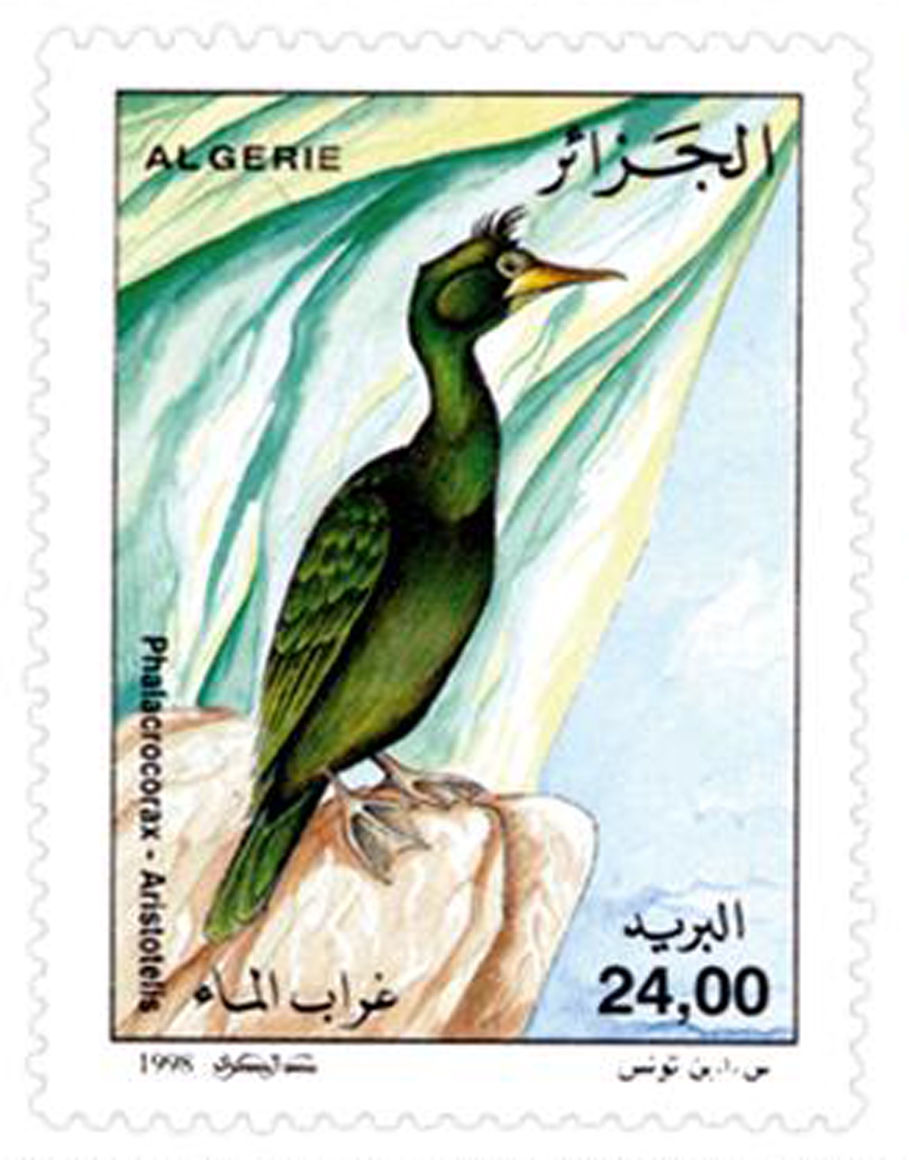 Oiseaux marins (Timbre poste Algérie)