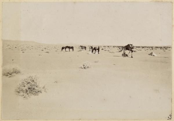 [Portage de la colonne du capitaine Pujat chargé de la construction du Fort Lallemand] (Image de propagande coloniale)