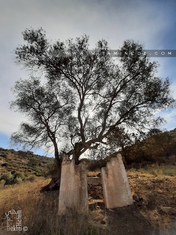 Hawita de Sidi Brahim à Ain Kolla