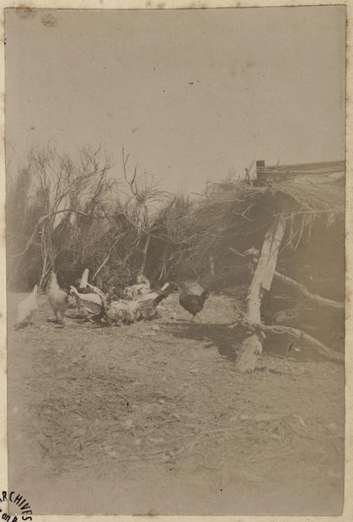 Colonne du capitaine Pujat chargé de la construction du Fort Lallemand : ravitaillement pour la colonne'] (Image de propagande coloniale)