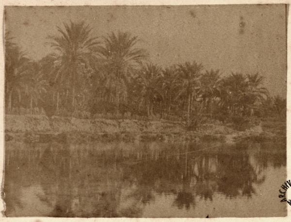 [Oasis] (Image de propagande coloniale)