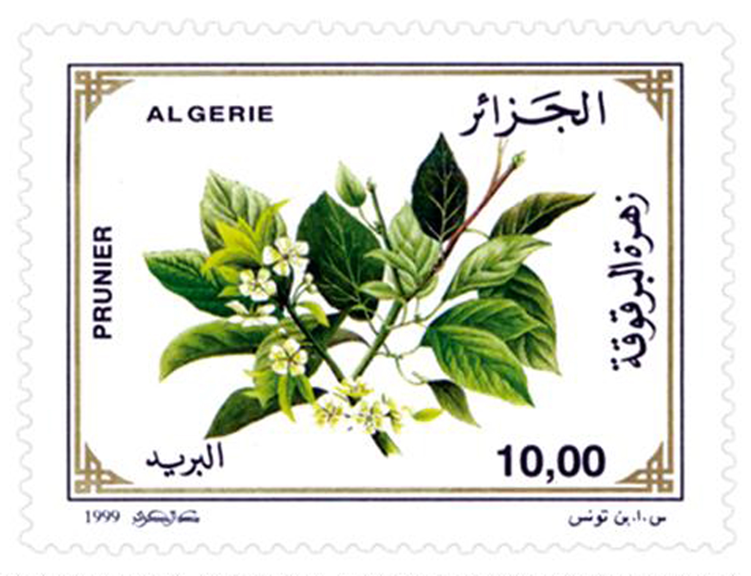 Fleurs d’arbres fruitiers (Timbre poste Algérie)
