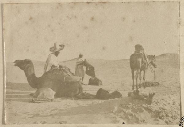 [Un homme et son dromadaire] (Image de propagande coloniale)