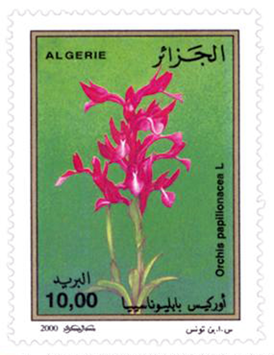 Orchidées (Timbre poste Algérie)