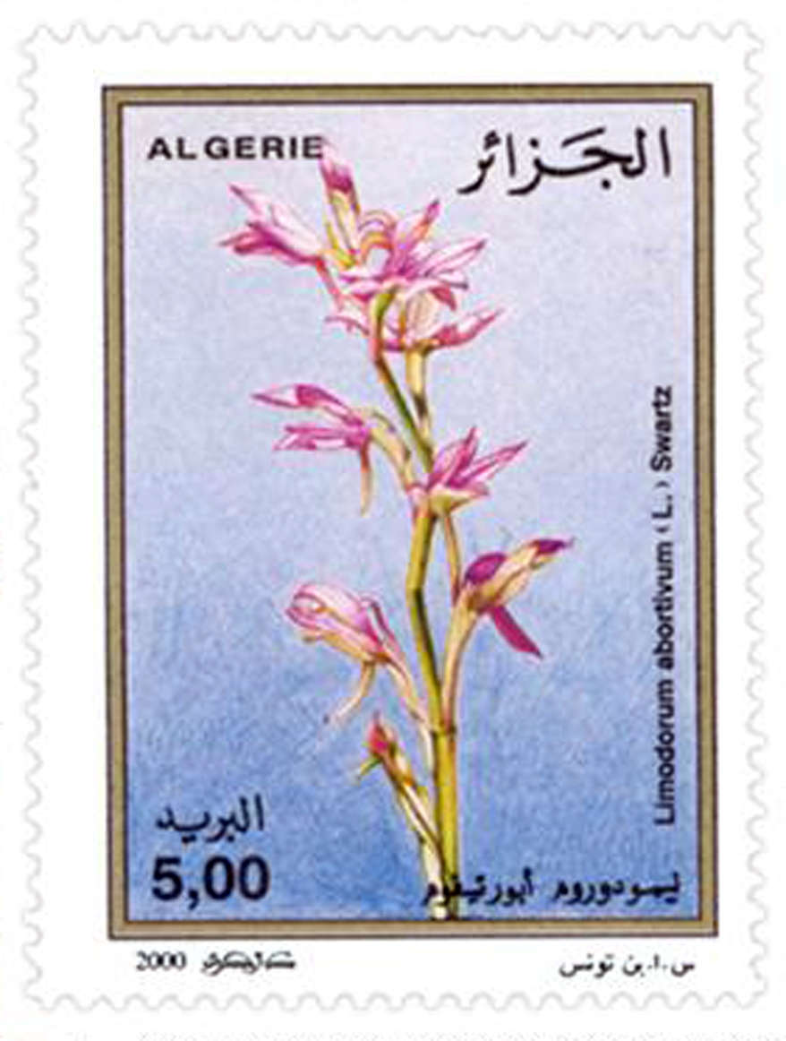 Orchidées (Timbre poste Algérie)