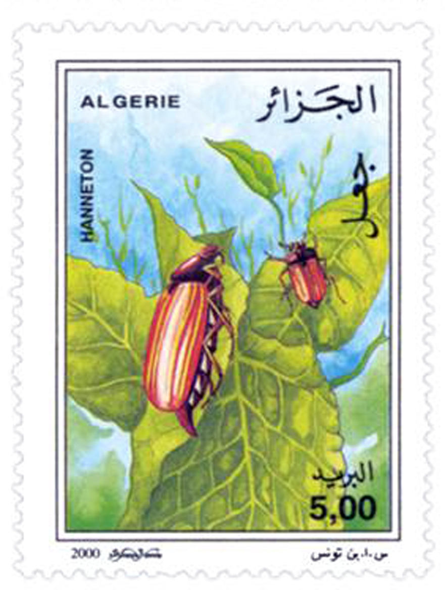 Insectes (Timbre poste Algérie)