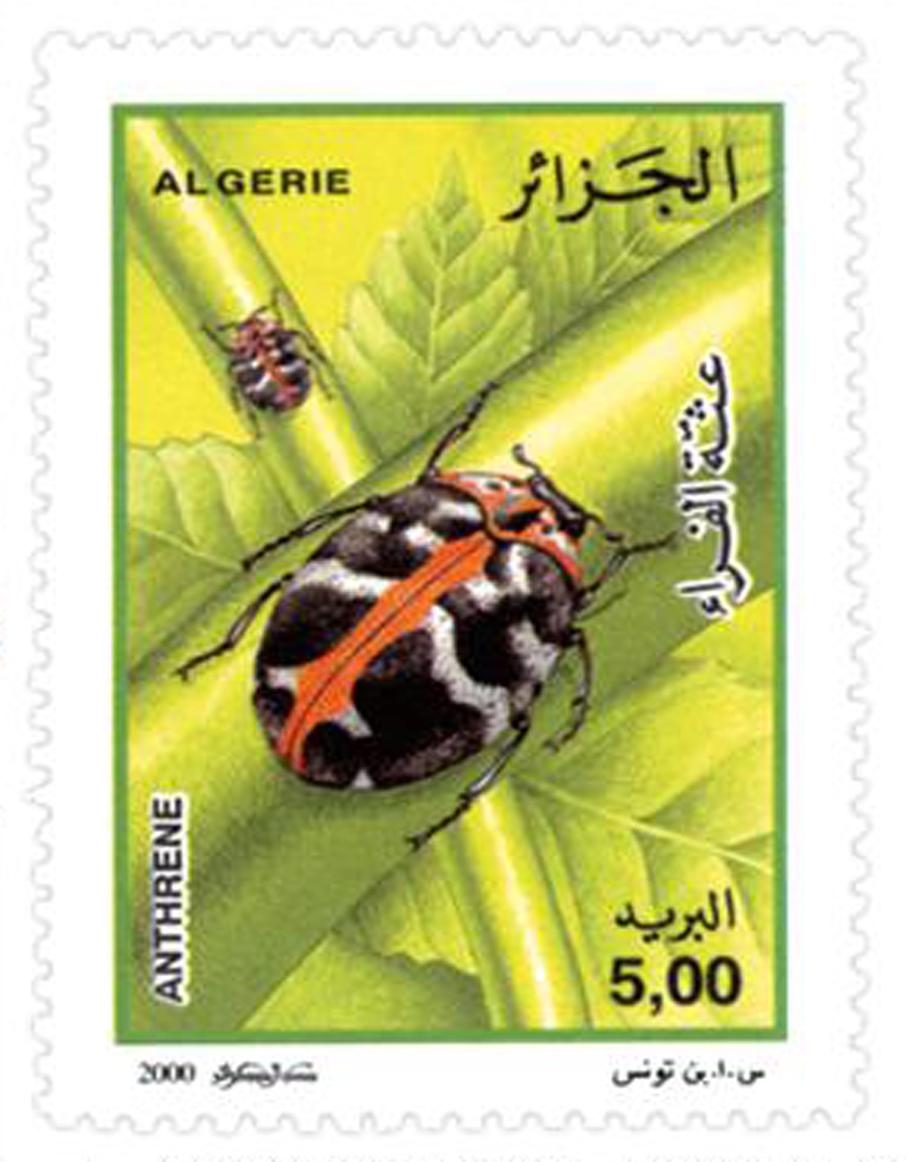 Insectes (Timbre poste Algérie)