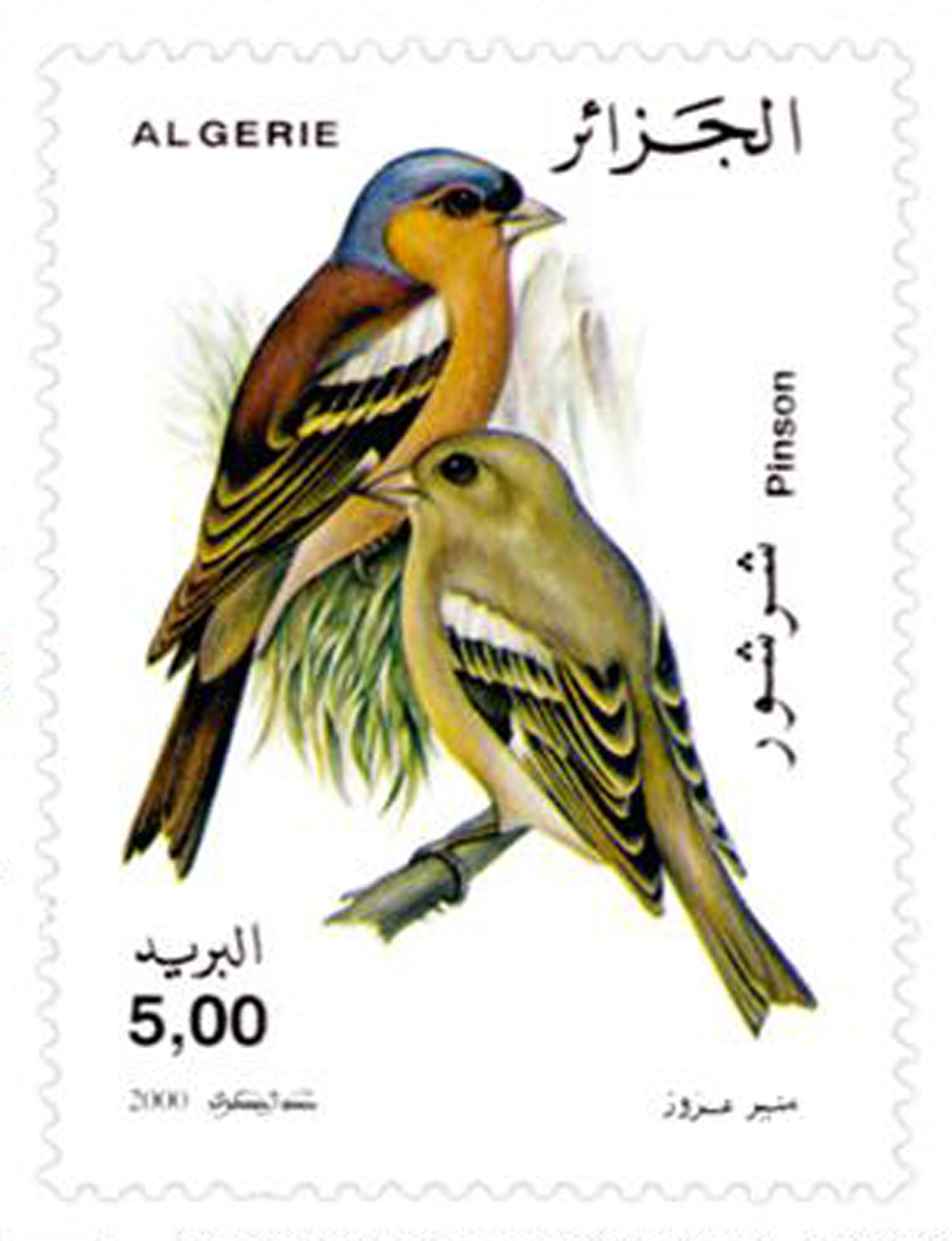 Oiseaux (Timbre poste Algérie)