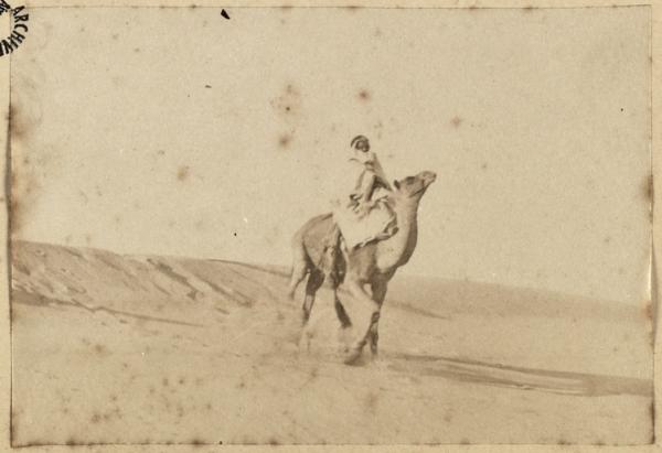 [Un cavalier arabe sur un dromadaire] (Image de propagande coloniale)