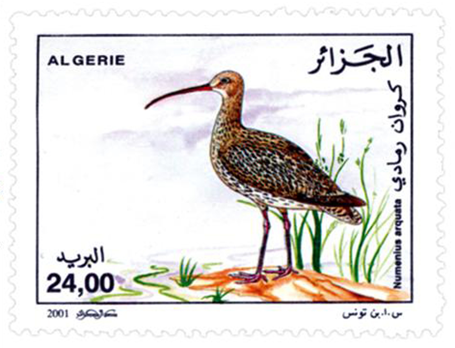 Oiseaux d’eau (Timbre poste Algérie)