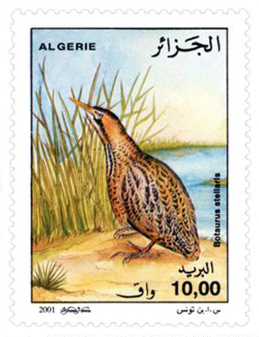 Oiseaux d’eau (Timbre poste Algérie)