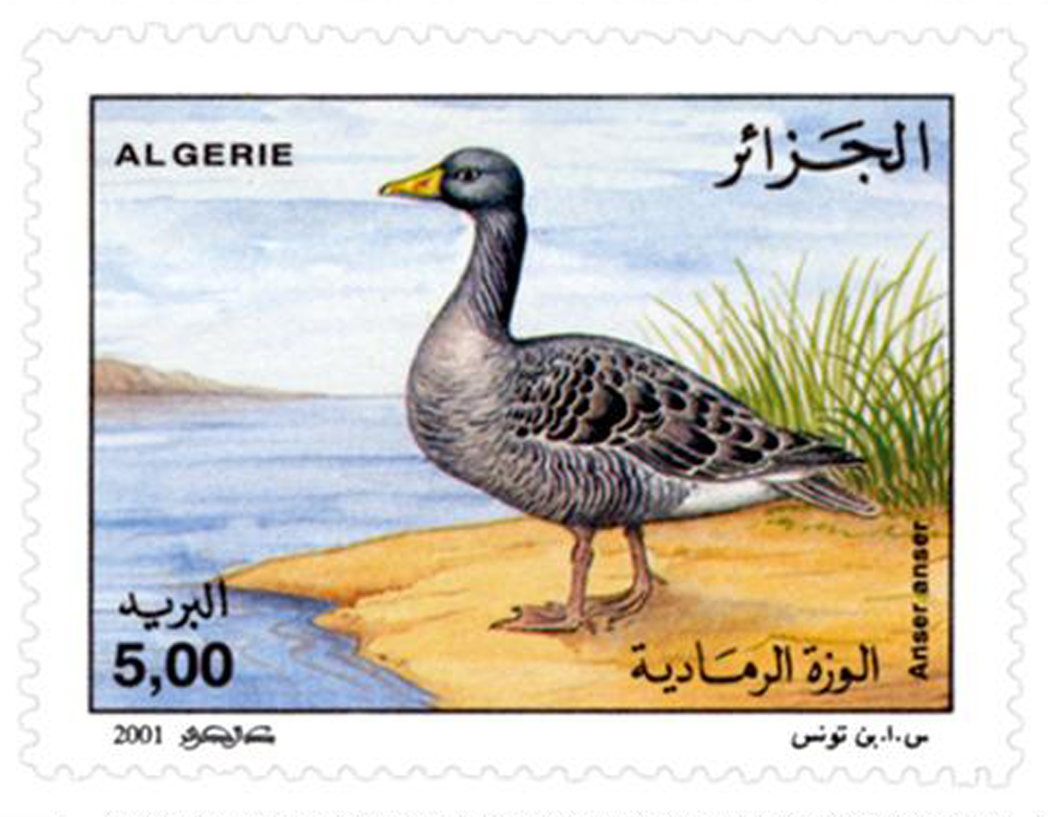 Oiseaux d’eau (Timbre poste Algérie)