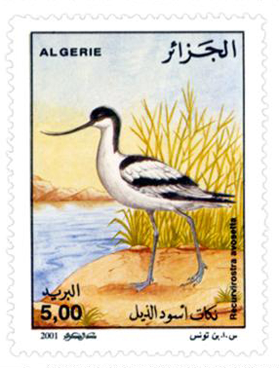 Oiseaux d’eau (Timbre poste Algérie)