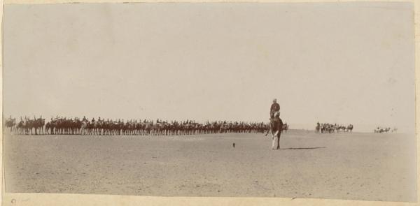 Revue pour remettre la croix de chevalier au Maréchal des logis Joly. Timimoun 1902 (Image de propagande coloniale)