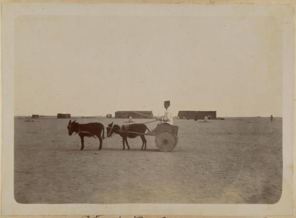 Officier d'administration Génevès et son tandem. Adrar 1902 (Image de propagande coloniale)