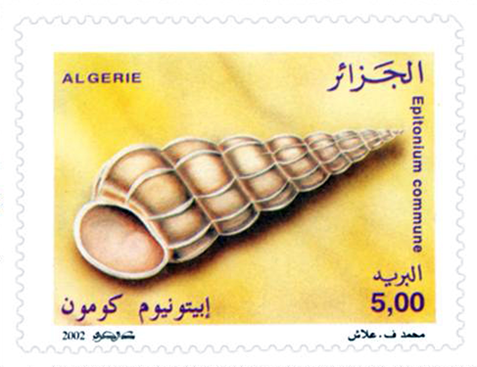 Coquillages (Timbre poste Algérie)