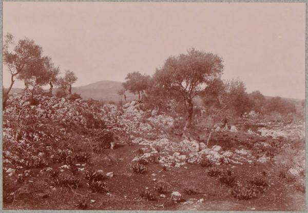 Hammam-Meskoutine. Dépôts calcaires dans toute la région. (Image de propagande coloniale)