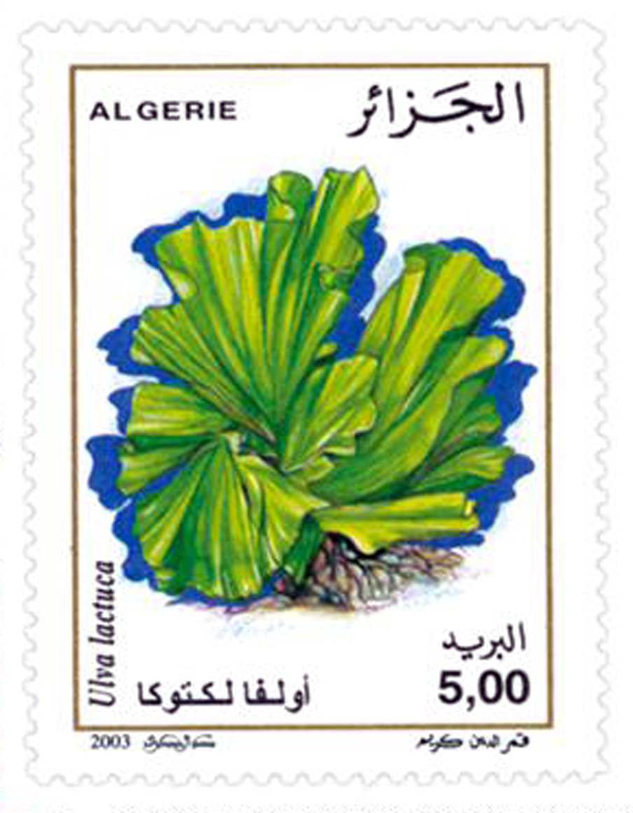 Algues marines (Timbre poste Algérie)
