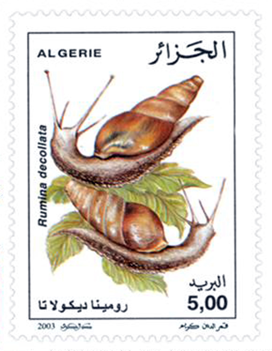 Escargots (Timbre poste Algérie)