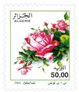 Rosa x odorata (Timbre poste Algérie)