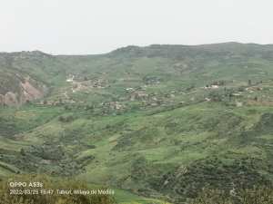 اهل الذراع الخصراء