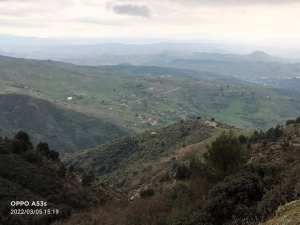 صورة لأهل الذراع من الغابة