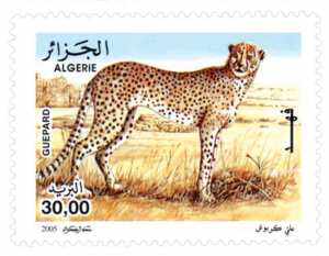Guépard du Tassili (Timbre poste Algérie)