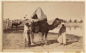 Chameau avec bassour (Image de propagande coloniale)