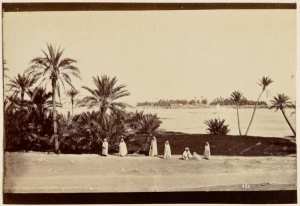 [Vue générale de Biskra'] (Image de propagande coloniale)