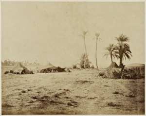 Palmiers et tentes, oasis de Biskra, Sahara (Image de propagande coloniale)