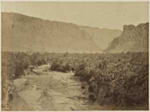 Vue du village d'El Kantara prise de la rivière (Image de propagande coloniale)