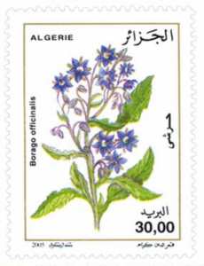Fleurs (Timbre poste Algérie)